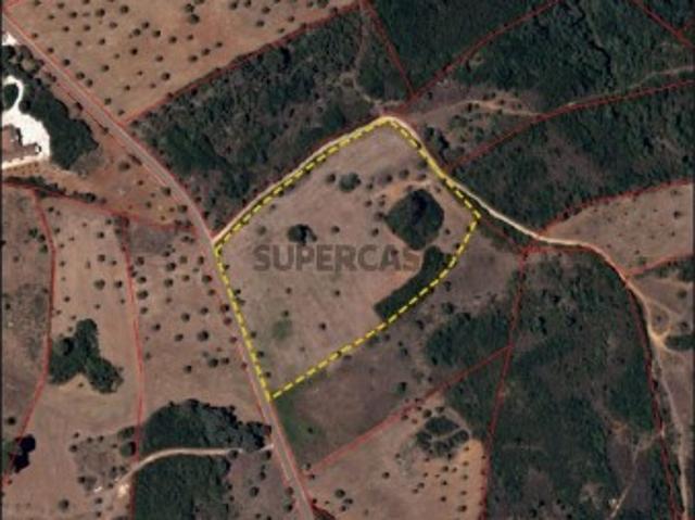 Terreno venda em Casal do Paul, Santarém