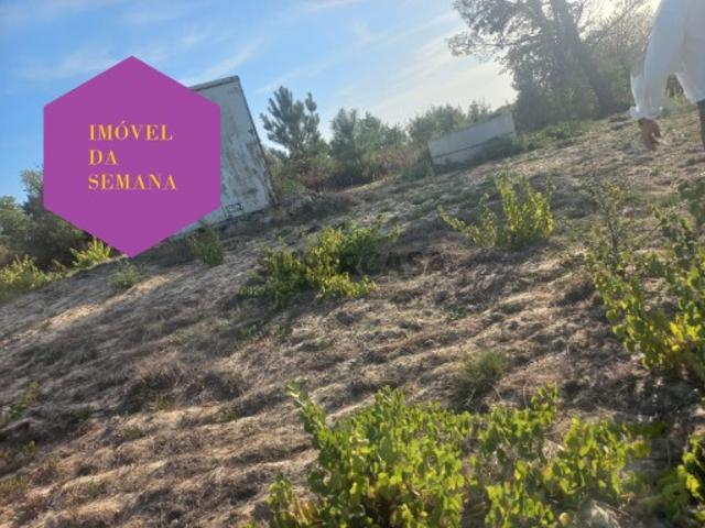 Terreno venda em Cartaxo, Santarém
