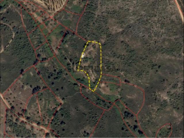 Terreno venda em Castelo Branco