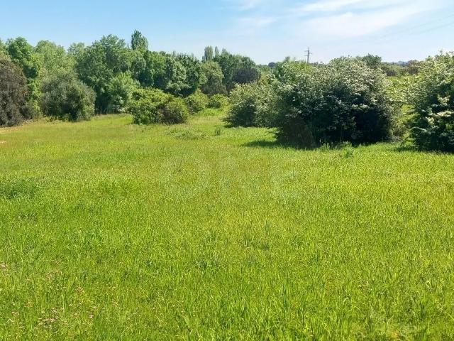 Terreno venda em Olaia e Paço, Torres Novas