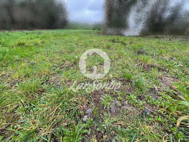 Terreno venda em A Ver-o-mar, Porto