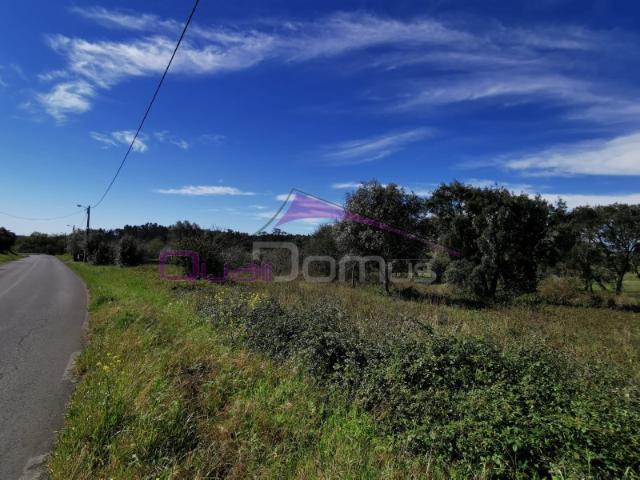 Terreno venda em Olaia e Paço, Torres Novas