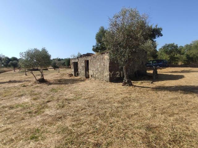 Terreno venda em Castelo Branco