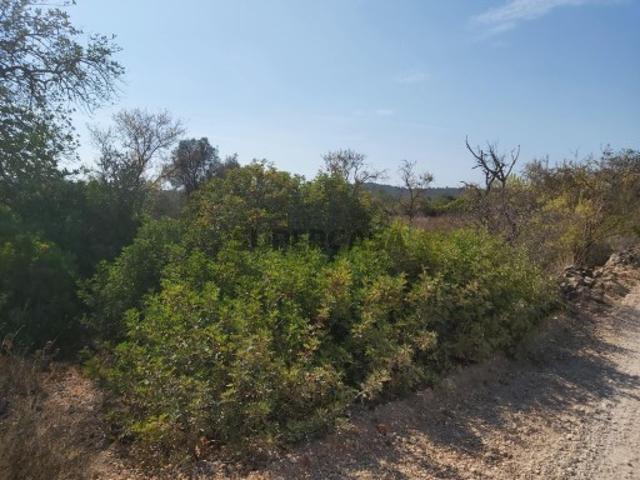 Terreno venda em Celões, Loulé