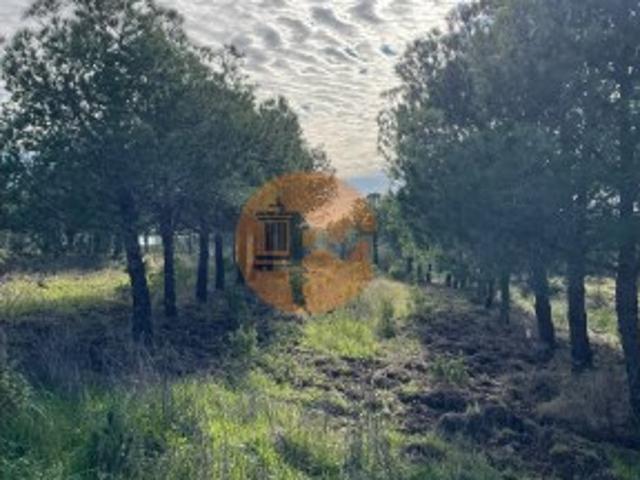 Terreno venda em Corte Velha, Castro Marim
