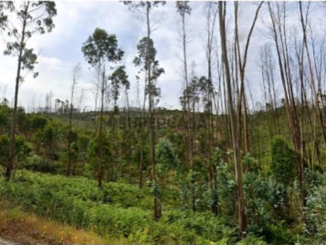 Terreno venda em Pairia, Ourém