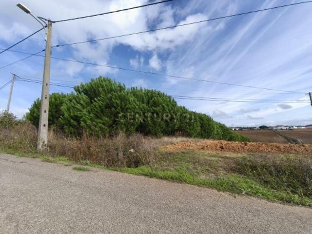 Terreno venda em Lourinhã, Lisboa