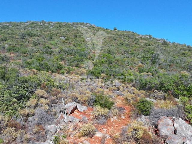 Terreno venda em Olhão, Faro