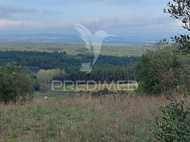 Terreno venda em Santarém