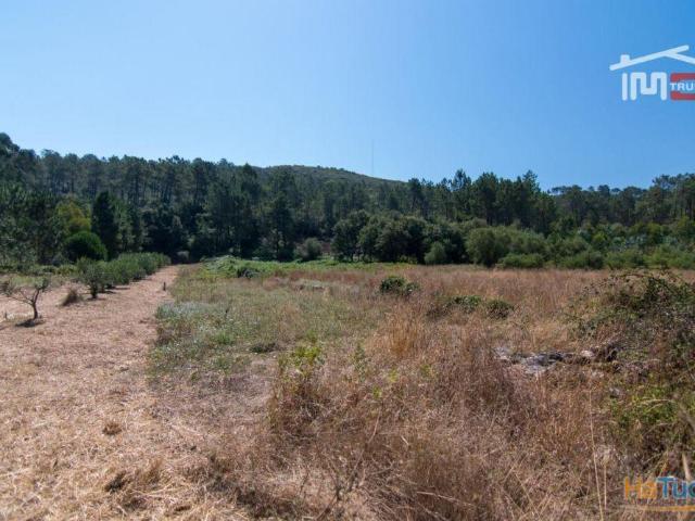 Terreno venda em Batalha, Leiria