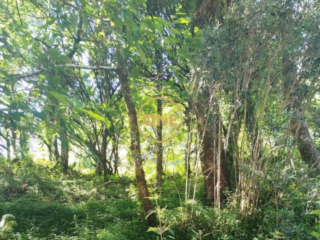 Terreno venda em Urjal, Amares