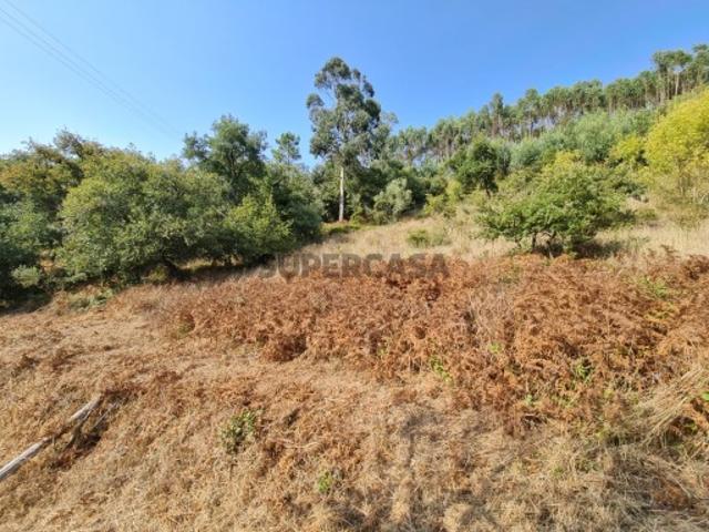 Terreno venda em Mafra, Lisboa