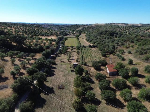 Terreno venda em Torres Novas, Santarém