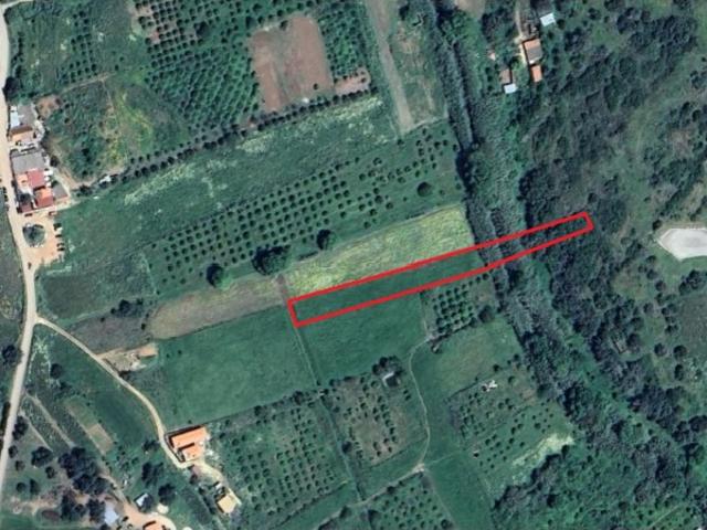 Terreno venda em Lagos, Faro