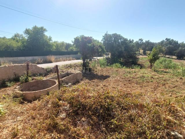 Terreno venda em Faro