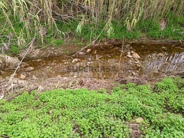 Terreno venda em Castro Marim, Faro