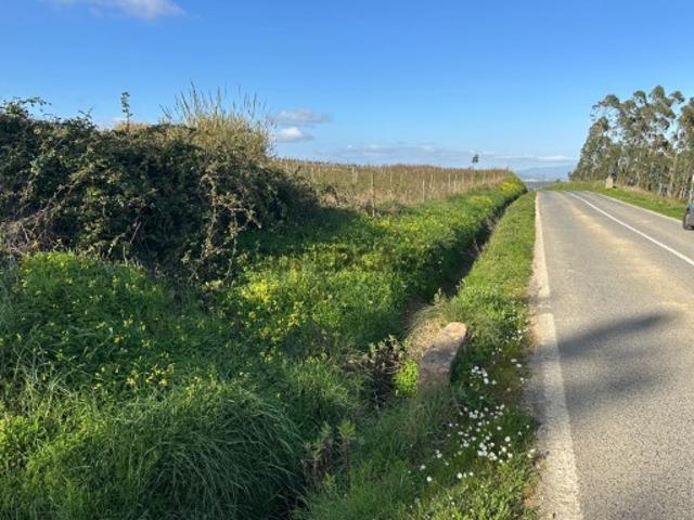 Terreno venda em Torres Vedras, Lisboa
