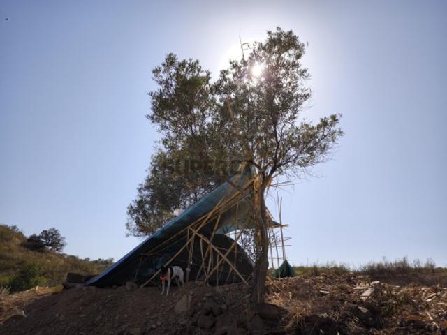 Terreno venda em Corte do Gago, Castro Marim