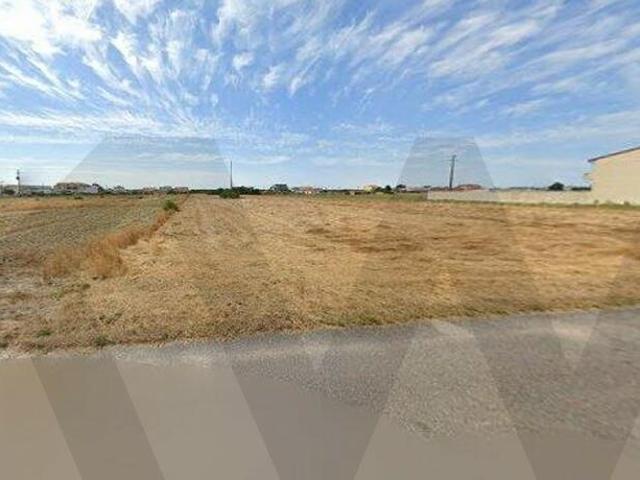 Terreno venda em Gafanha da Boa Hora, Vagos
