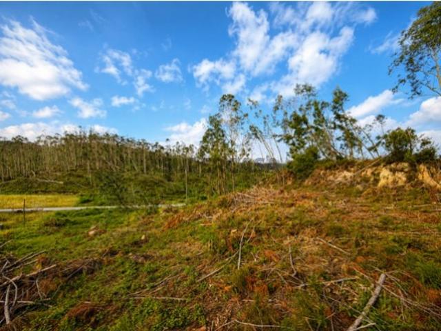 Terreno venda em Ourém, Santarém