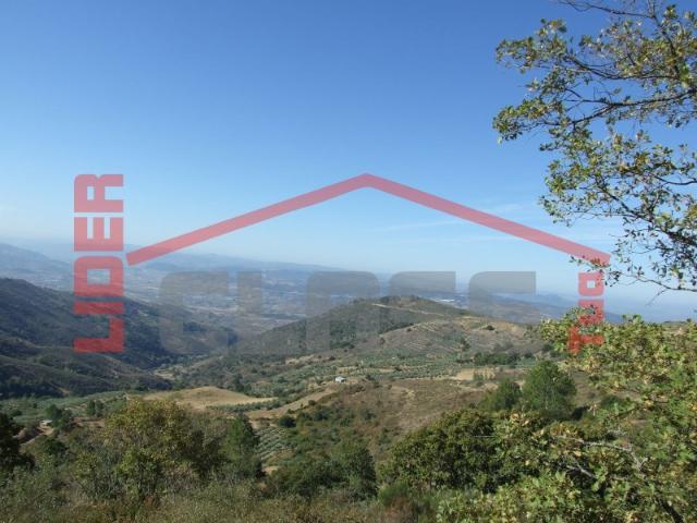Terreno venda em Alfândega Da Fé, Bragança