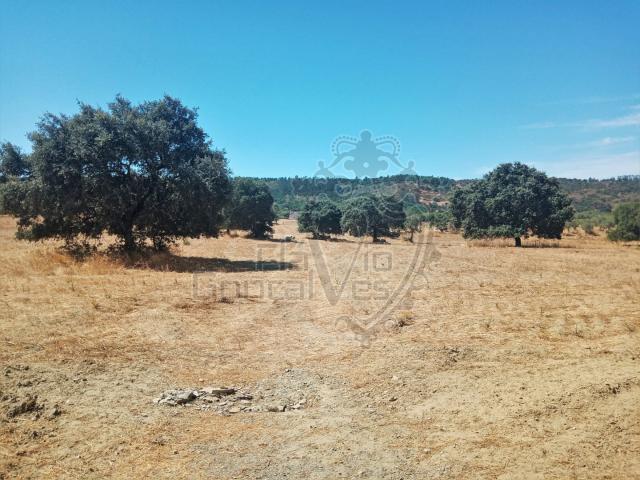 Terreno venda em Estremoz, Évora