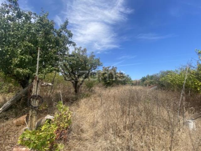 Terreno venda em Saltadouro, Figueira Da Foz