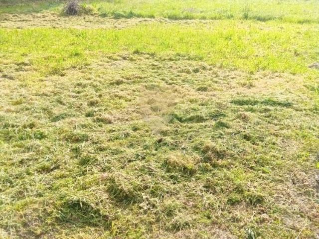 Terreno venda em Anho Bom, Marecos