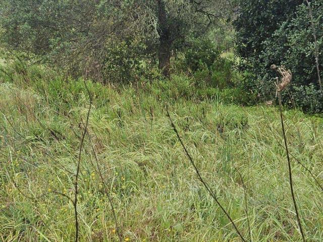Terreno venda em Portimão, Faro
