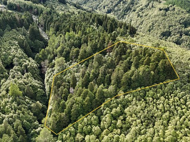 Terreno venda em Açores, Lomba Da Fazenda