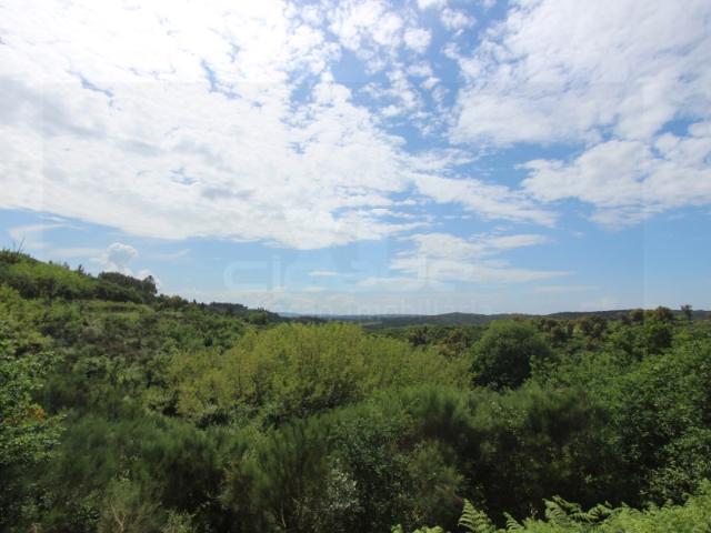 Terreno venda em Arganil, Anceriz