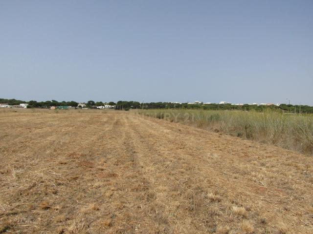 Terreno venda em Albufeira e Olhos de Água, Albufeira
