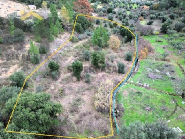 Terreno venda em Castelo Branco