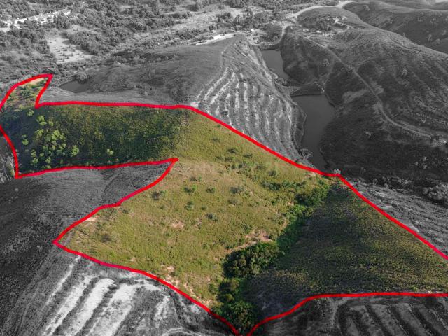 Terreno venda em São Bartolomeu De Messines, Faro