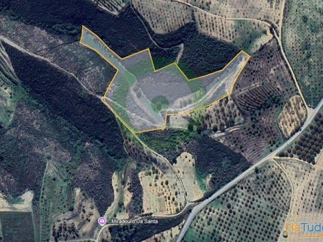 Terreno venda em Argeriz, Vila Real