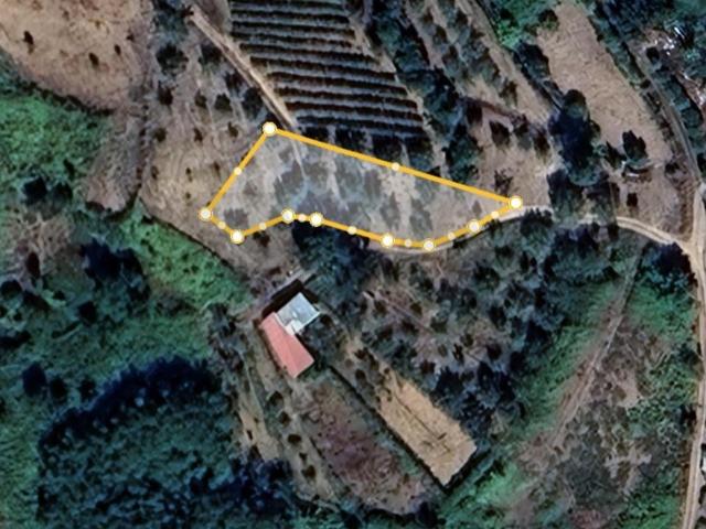 Terreno venda em Coimbrã, Ceira
