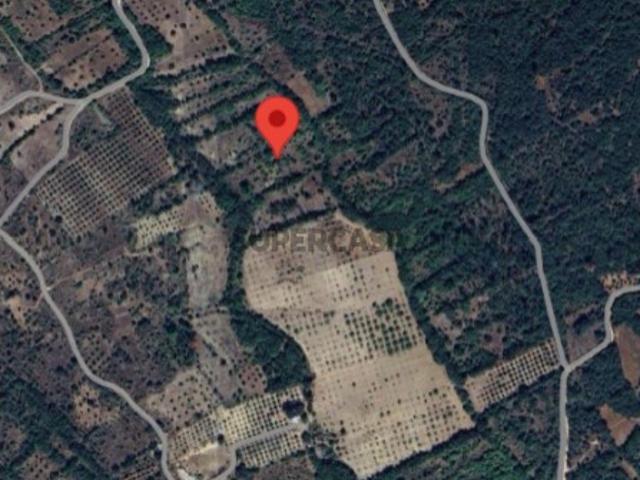 Terreno venda em Rego Da Murta, Santarém