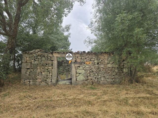 Terreno venda em Castelo Branco