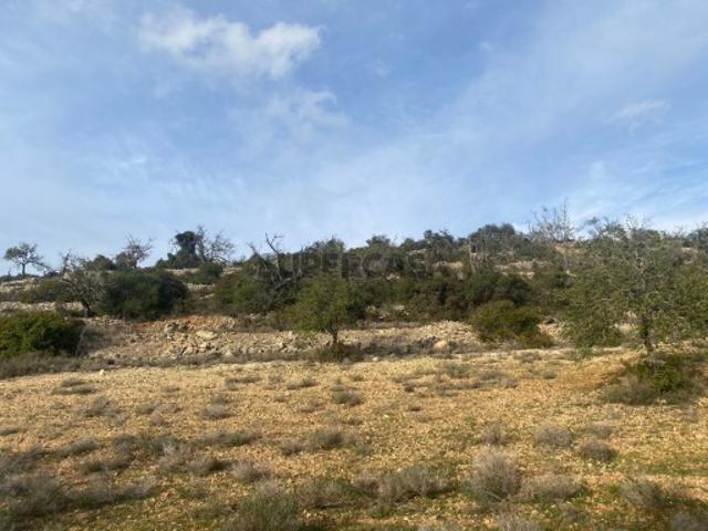 Terreno venda em Albufeira, Faro