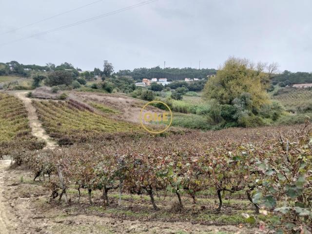 Terreno venda em Mafra, Lisboa
