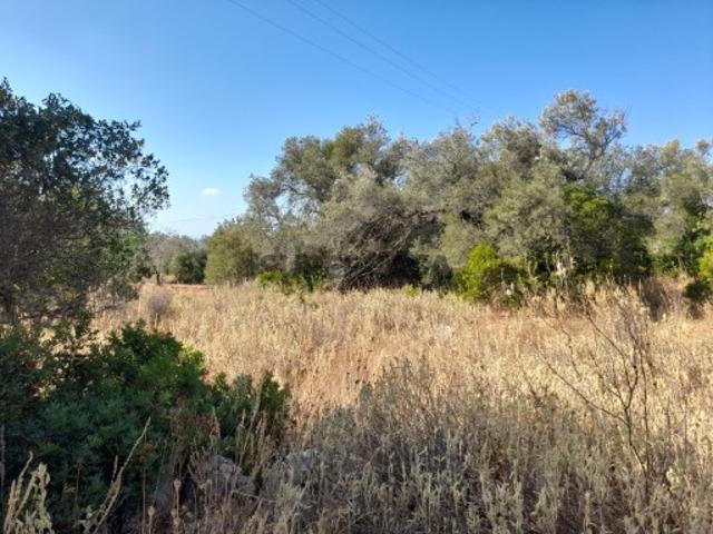 Terreno venda em Conceição e Estoi, Faro