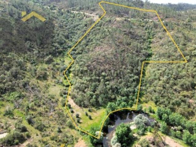 Terreno venda em Castelo Branco