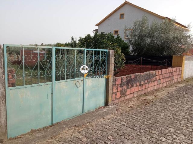 Terreno venda em Castelo Branco