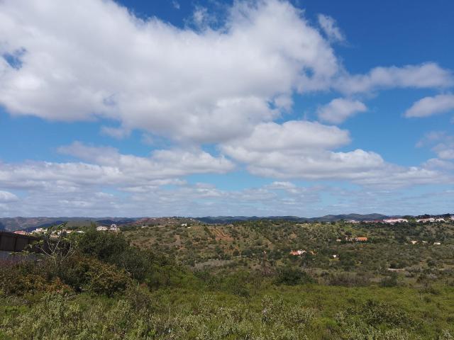 Terreno venda em São Bartolomeu De Messines, Faro