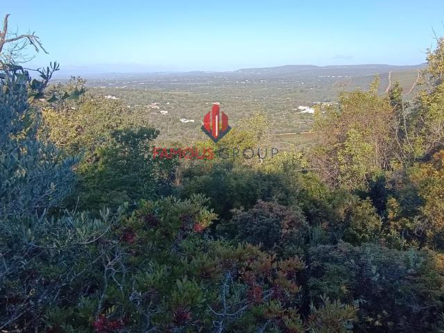 Terreno venda em Albufeira e Olhos de Água, Albufeira