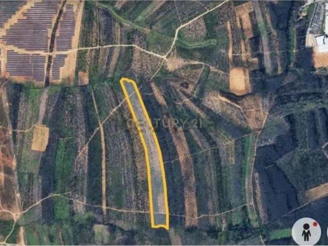 Terreno venda em Albergaria-a-velha, Aveiro