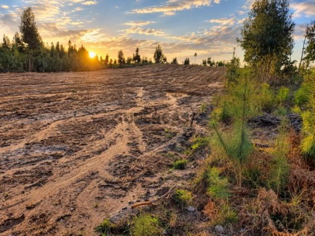 Terreno venda em Ourém, Santarém
