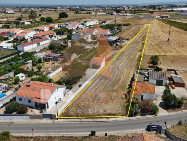 Terreno venda em Alpiarça, Santarém