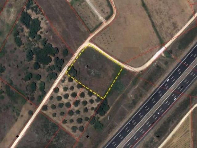 Terreno venda em Vale de Moinhos, Santarém