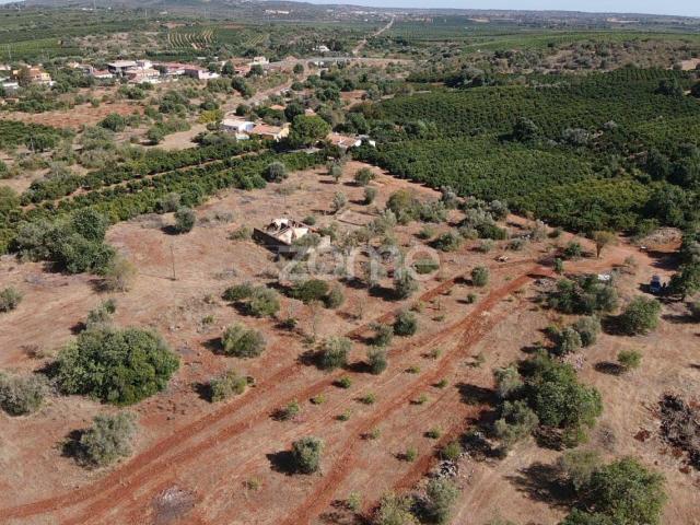 Terreno venda em São Bartolomeu De Messines, Faro